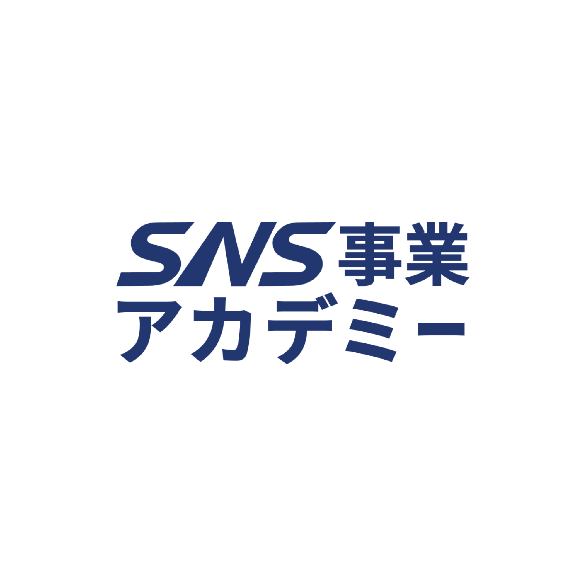 SNS事業アカデミーのイメージ